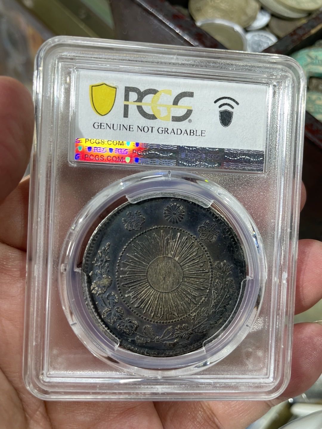 dvubb 图片点击可在新窗口打开查看